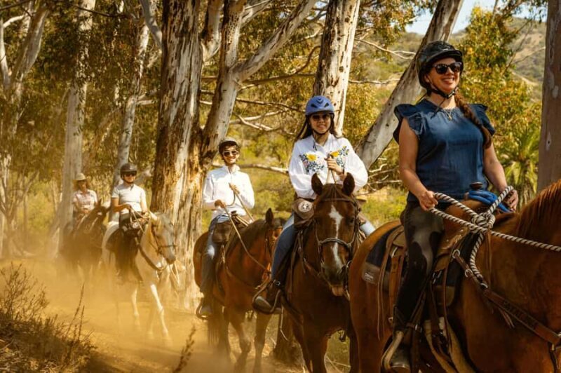 Catalina Island: Trail and Canyon Horseback Ride - Key Points