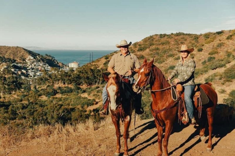 Catalina Island: Trail and Canyon Horseback Ride - What to Expect from Your Catalina Horseback Adventure