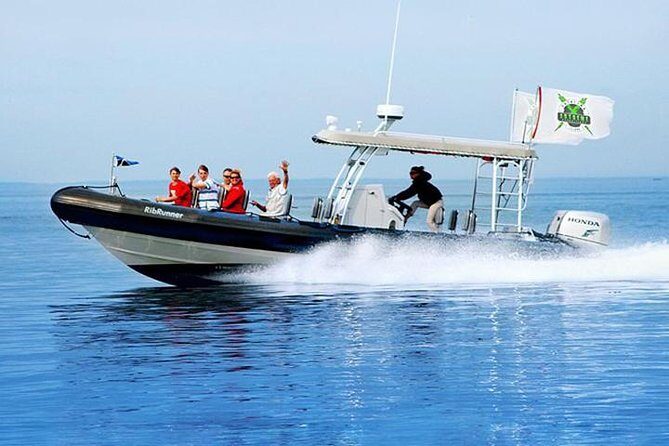 Catalina Island Trip with Hotel transfers & Optional tours - A Deep Dive into the Catalina Island Day Trip Experience