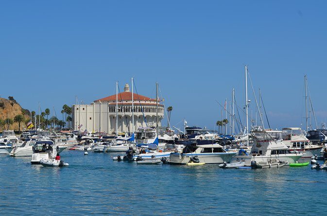 Catalina Island w/Discover Avalon Scenic Tour & Hotel transfers - Navigating the Experience: What to Expect