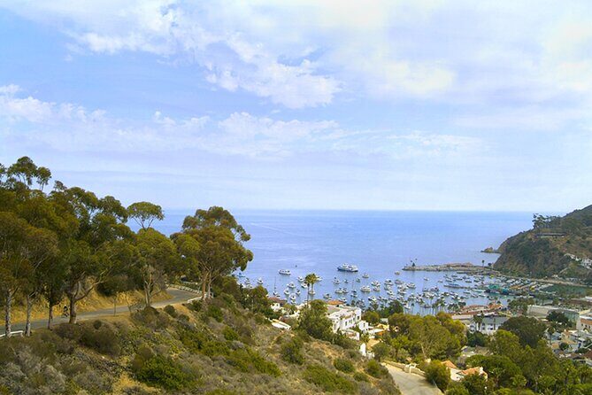 Catalina Island w/Discover Avalon Scenic Tour & Hotel transfers - Final Thoughts: Who Is This Tour Best For?