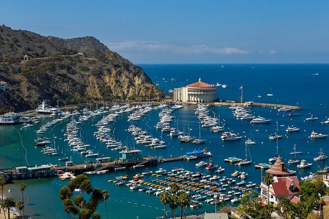 Catalina Island w/Discover Avalon Scenic Tour & Hotel transfers - Frequently Asked Questions