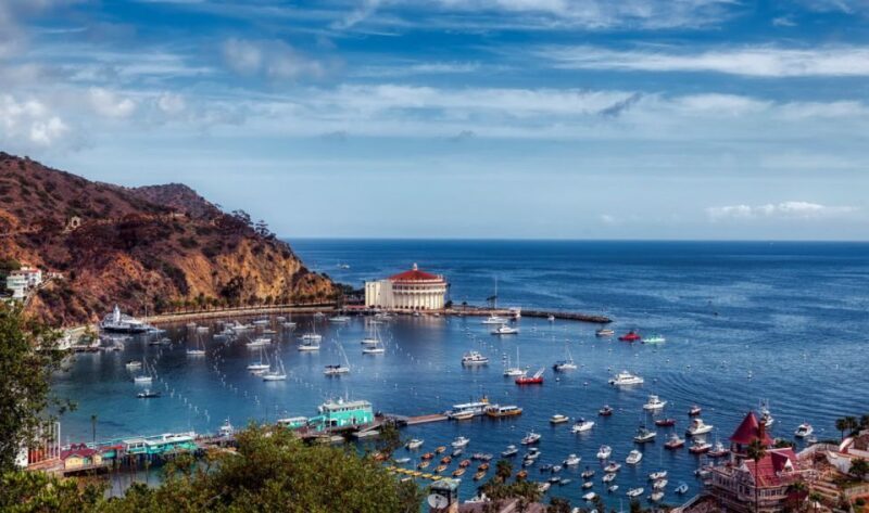 Catalina Island: Yellow Semi-Submarine Cruise - An In-Depth Look at the Yellow Semi-Submarine Cruise
