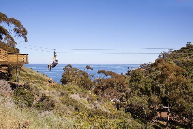Catalina Island Zip Line Eco Tour - Authentic Insights from Travelers