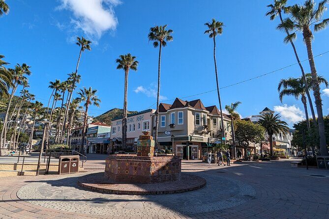 Catalina Scavenger Hunt Walking Tour and Game - Engaging Review of the Catalina Scavenger Hunt Walking Tour and Game