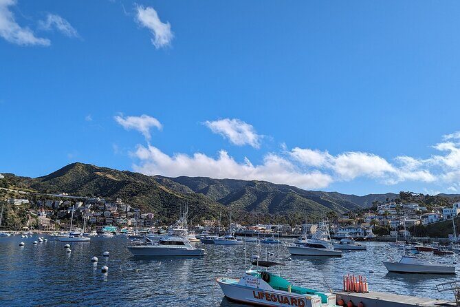 Catalina Scavenger Hunt Walking Tour and Game - Key Points