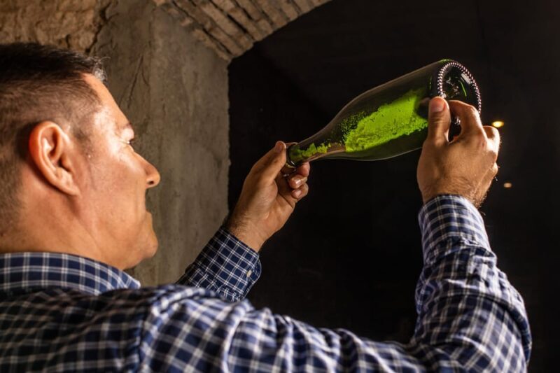 Catalonia: Unique, bespoke wine cellar visits - Exploring the Details of Catalonias Bespoke Wine Tour