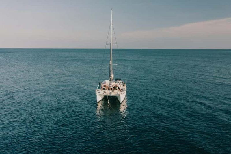Catamaran Adventure to Isla Mujeres: Snorkeling, Food, and Transportation Included - Snorkeling at a Coral Reef: Colorful Marine Life