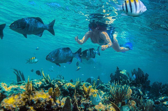 Catamaran along the Riviera Maya Snorkel food and open bar - Who Is This Tour Best For?