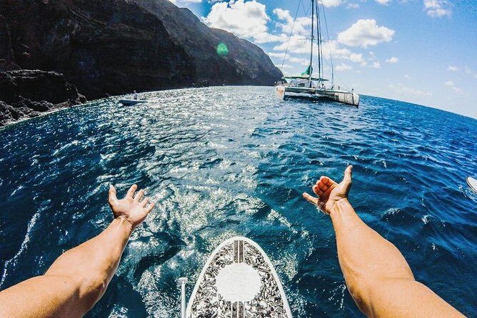 Catamaran Day Cruise to Desertas Islands from Funchal - The Experience in Detail