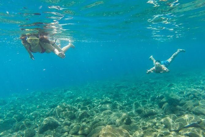 Catamaran Day Cruise to Desertas Islands from Funchal - Who Should Consider This Tour?