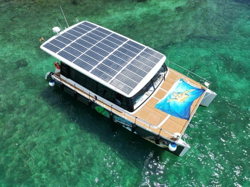 CATAMARAN ECO EXPERIENCE at Palma Bay - Key Points