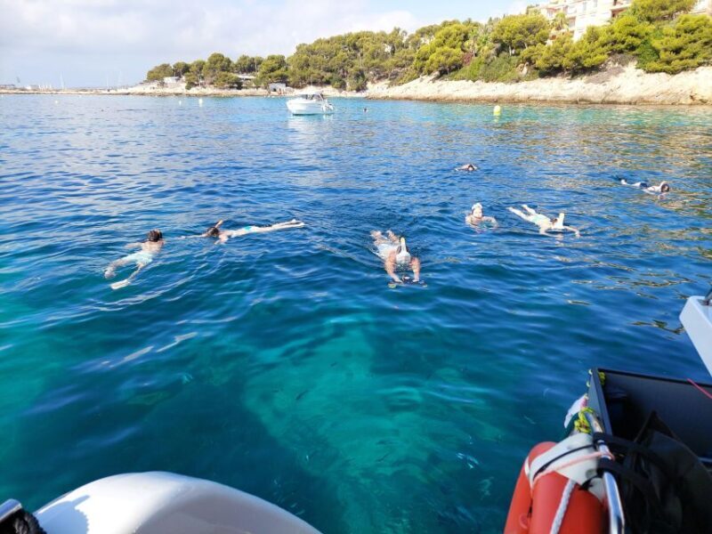 CATAMARAN ECO EXPERIENCE at Palma Bay - Final thoughts