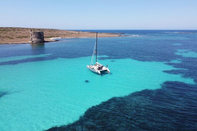 Catamaran excursions in the Asinara island National park - An In-Depth Look at the Experience