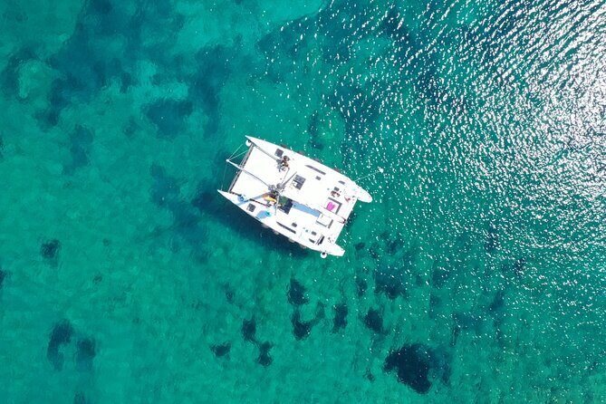 Catamaran excursions in the Asinara island National park - Final Thoughts