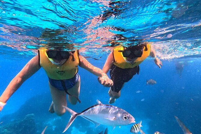 Catamaran in Cozumel with snorkeling at El Cielo and open Bar - Review Highlights and Traveler Perspectives