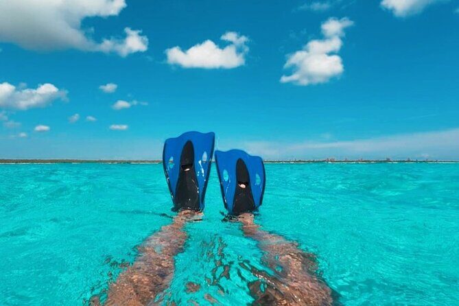 Catamaran in Cozumel with snorkeling at El Cielo and open Bar - FAQ