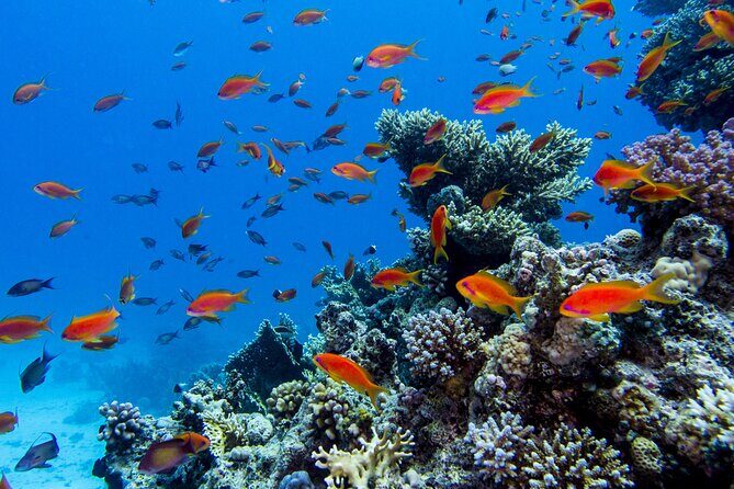 Catamaran On Islas Marietas - With Open Bar - Authentic Traveler Feedback & Highlights