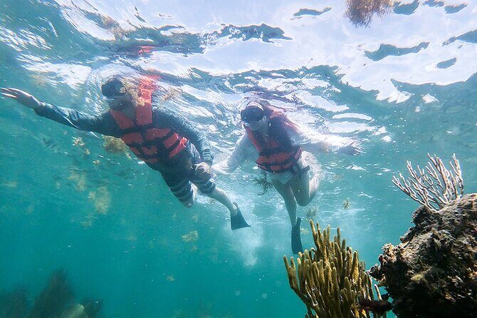 Catamaran Only Adults experience to Isla Mujeres + Exclusive Beach Club - The Beach Club Experience