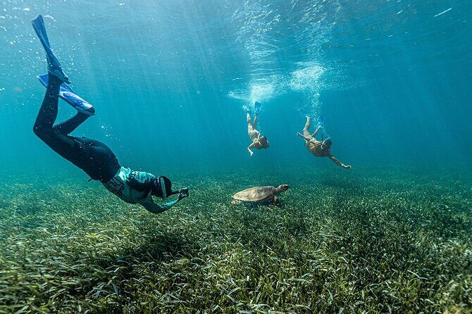 Catamaran Plus Reef Snorkeling and Isla Mujeres Visit - The Sum Up: Is It Worth It?