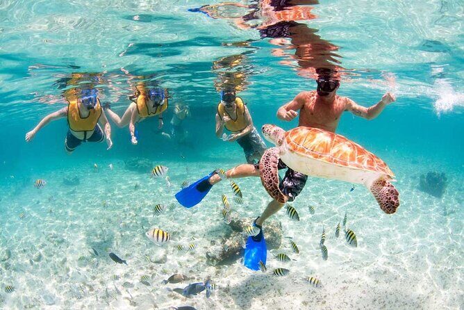 Catamaran Plus Tour to Isla Mujeres with National Open Bar from Cancun - Final Thoughts: Is It Worth It?