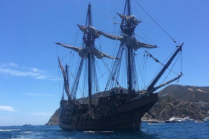 Catamaran Sailing Cruise on San Diego Bay for up to 6 Guests - Practical Tips