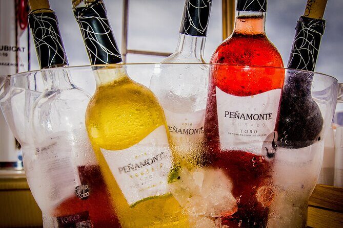 Catamaran Sailing Day To La Graciosa with Lunch - What We Love About This Tour