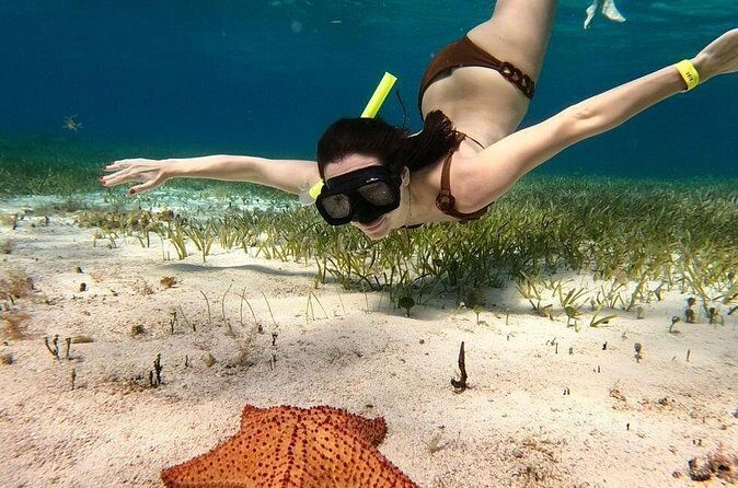 Catamaran Sky Tour in Cozumel - Frequently Asked Questions