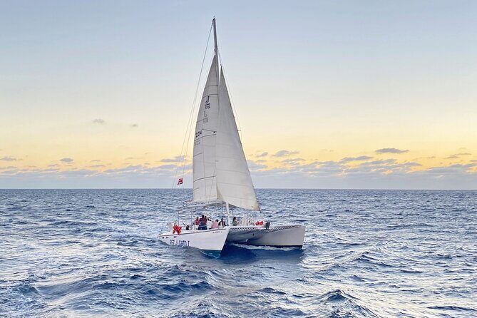 Catamaran Snorkel at Los Cabos! Gorgeous Snorkel & Party + Round Transportation - FAQ