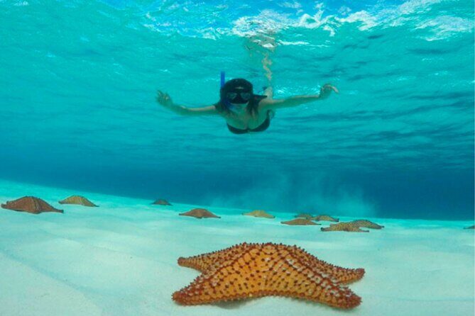 Catamaran Snorkeling to El Cielo and The Money Bar Beach Club - Final Thoughts: Is This Tour Worth It?