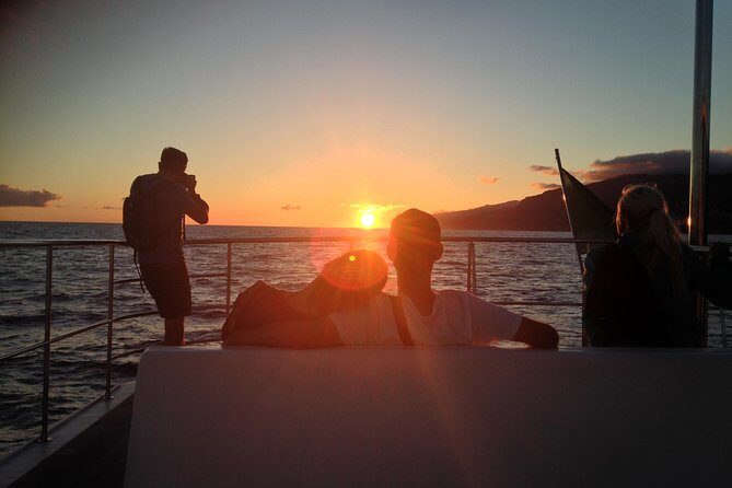 Catamaran Sunset Cruise from Funchal - Key Points
