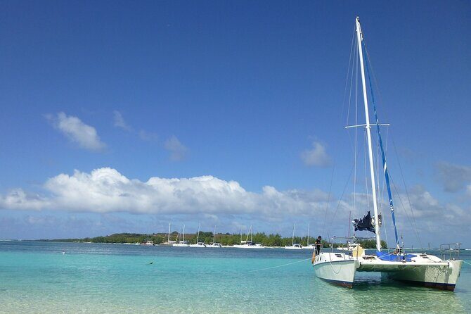 Catamaran to Isla Mujeres with Open Bar from Playa del Carmen - The Experience: What Travelers Can Expect