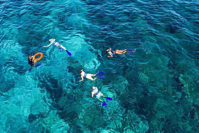 Catamaran to Isla Mujeres with Open Bar from Playa del Carmen - Authenticity and Fun Factor