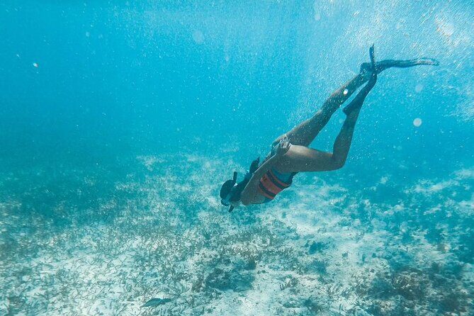 Catamaran Tour to Isla Mujeres Cancun - Authentic Experiences and Genuine Reviews