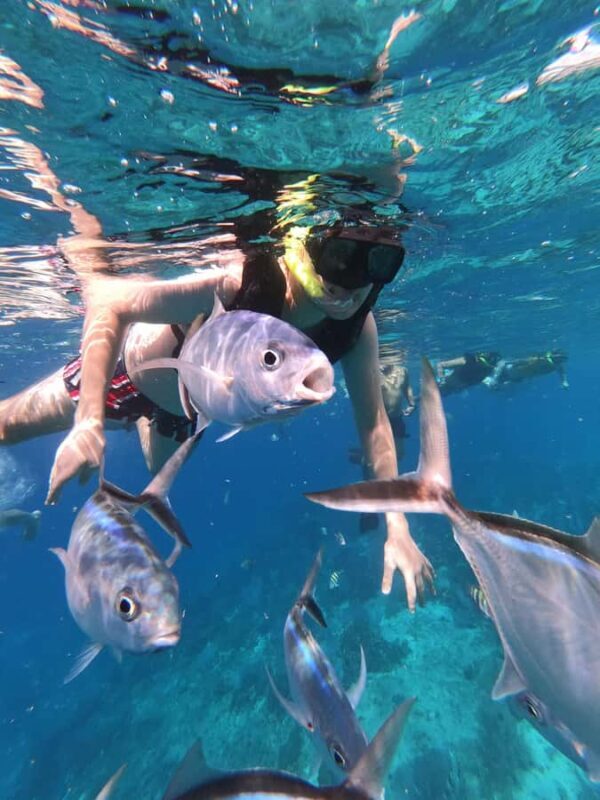 Catamaran with a slide in Cozumel El Cielo, Cielito, and Palancar Reef - Key Points