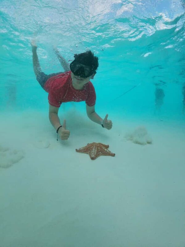 Catamaran with a slide in Cozumel El Cielo, Cielito, and Palancar Reef - Authenticity and Guest Feedback