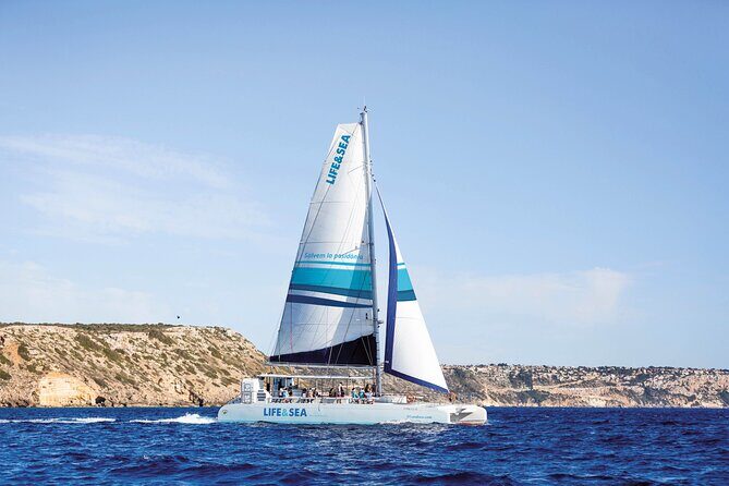 Catamaran with BBQ in the Bay of Palma - Key Points