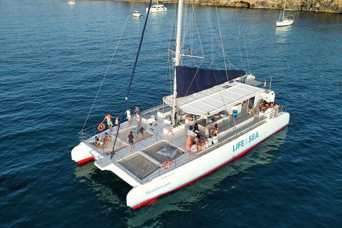 Catamaran with BBQ in the Bay of Palma - What Travelers Are Saying