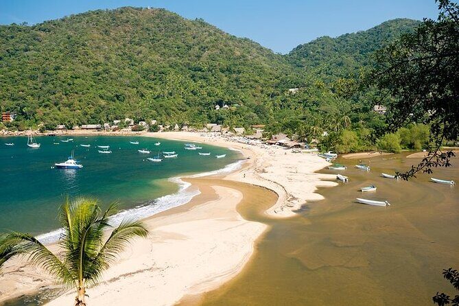 Catamaran Yelapa Beach Tour with Snorkeling, Food and Open Bar - Key Points