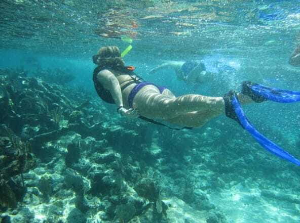 Catamaya Snorkel & Sea Life Adventure day tour - Frequently Asked Questions