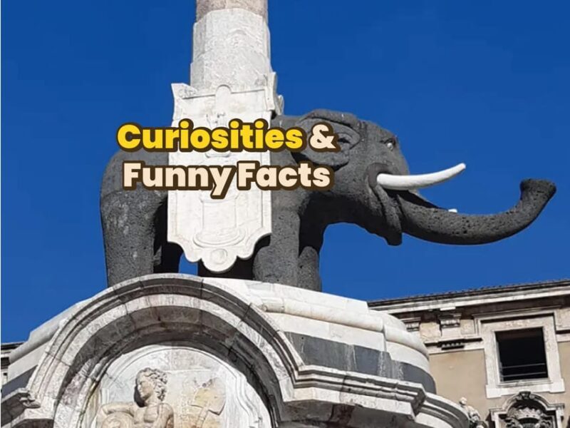 Catania: Digital guide made with a Local for your tour - The Practicalities