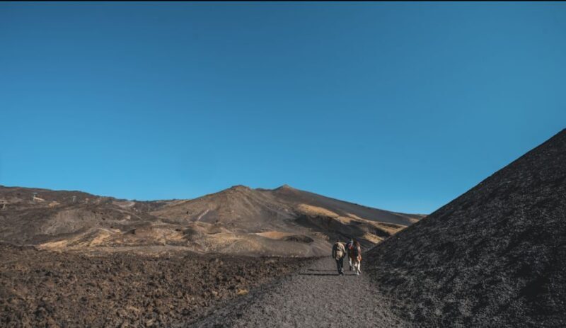 Catania: Etna Morning Excursion with Tasting and Pickup - Who Should Consider This Tour?