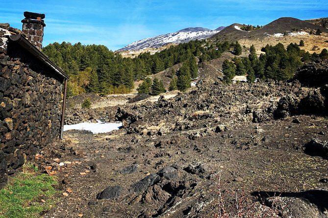Catania: Etna Morning Jeep/Van Tour - Who Should Book This Tour?