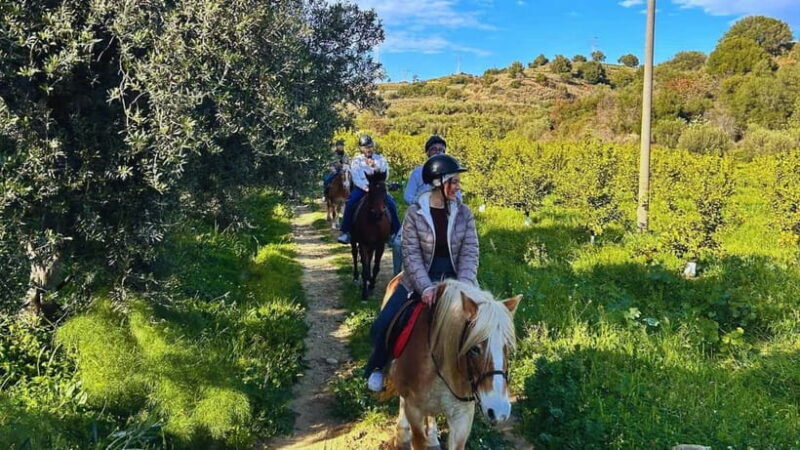 Catania: Guided Horseback Ride in Misterbianco Countryside - An Authentic Ride Through Sicily’s Countryside