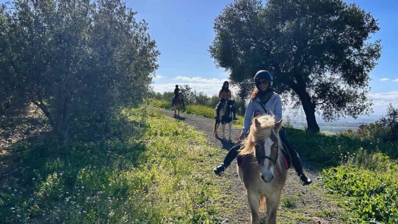Catania: Guided Horseback Ride in Misterbianco Countryside - The Practical Side: What Travelers Should Know
