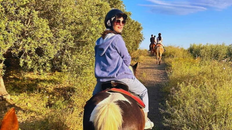 Catania: Guided Horseback Ride in Misterbianco Countryside - Authenticity & Value