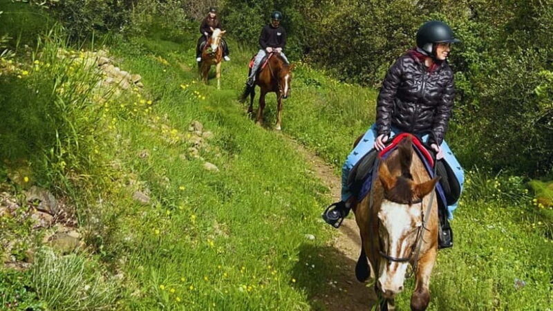 Catania: Guided Horseback Ride in Misterbianco Countryside - Who Will Love This Tour?