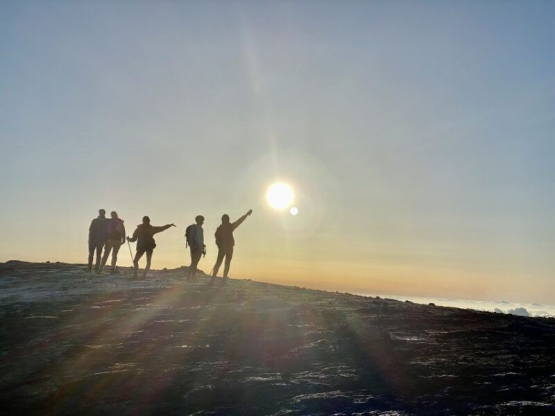 Catania: Mt. Etna Summit Craters Guided Trek - Value and Pricing Analysis
