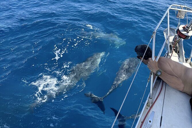 Catania: Sail Cyclops Coast by Boat and Enjoy a Sicilian Aperitif - Final Thoughts