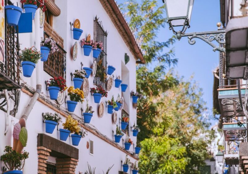 Cathedral and Royal Chapel with Albaicín and Sacromonte - Who Should Consider This Tour?